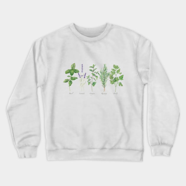 Culinary herbs painting Crewneck Sweatshirt by InnaPatiutko